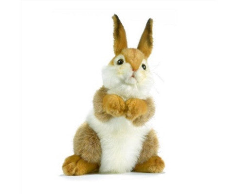 Bunny Plush 30cm