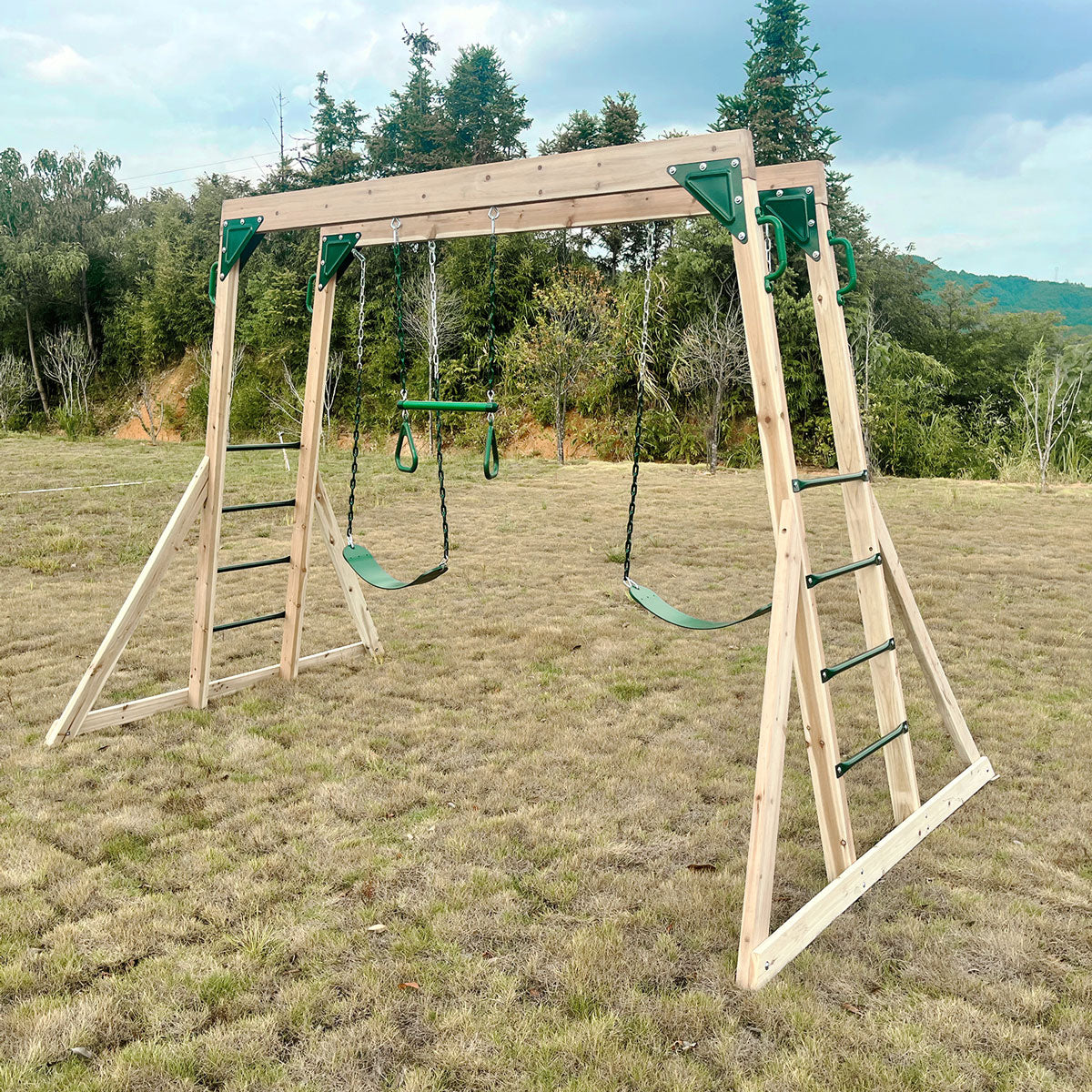 Kids Daintree 2-in-1 Monkey Bars & Swing Set