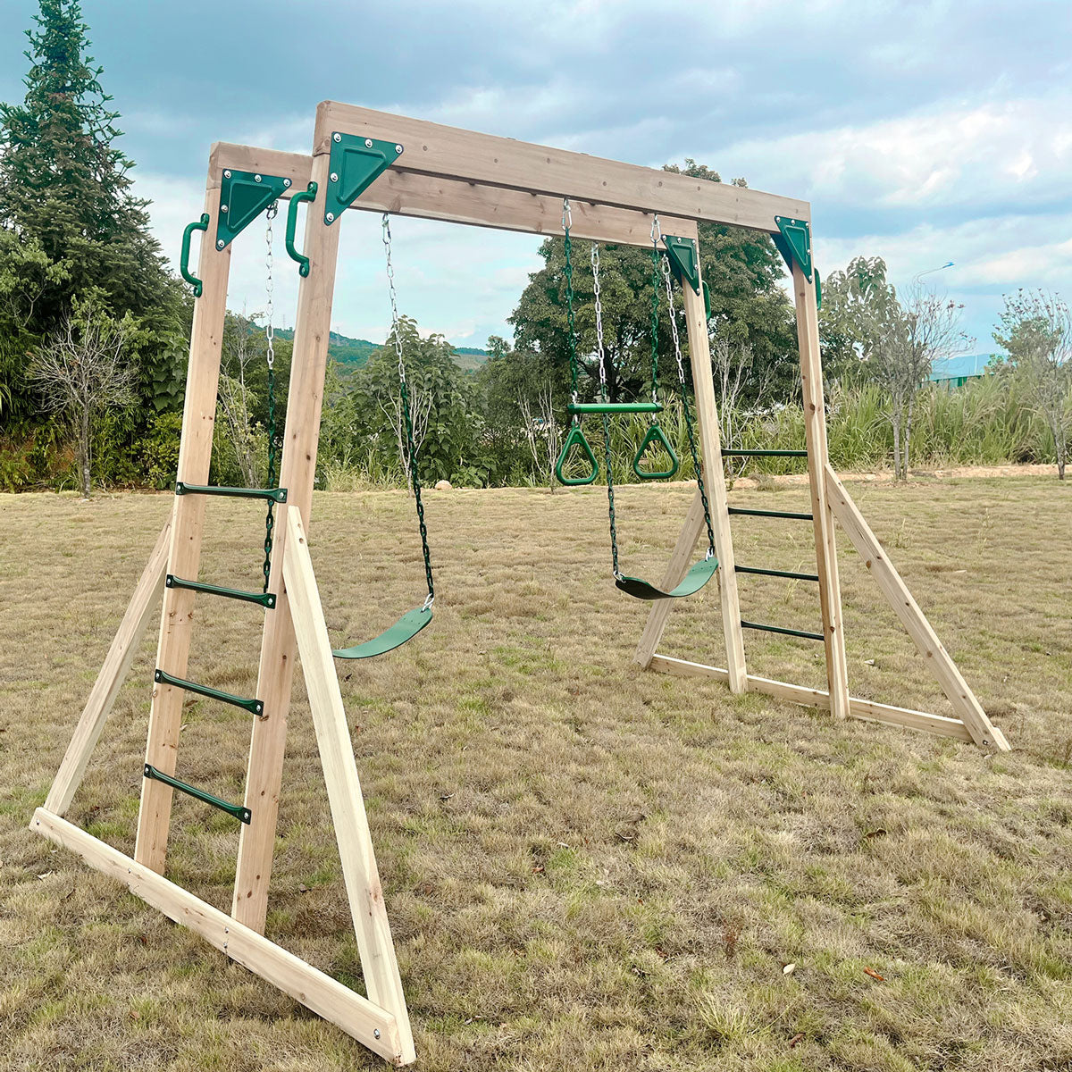 Kids Daintree 2-in-1 Monkey Bars & Swing Set