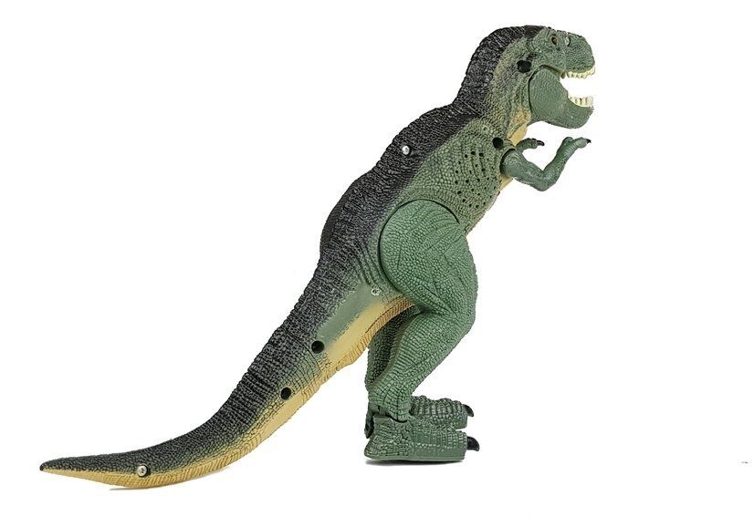 Dinosaur Planet Battery Operated Action Dinosaurs Tyrannosaurus Rex - SM Everyday Living